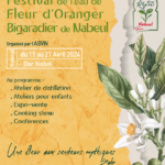 À la découverte de la senteur mythique de la fleur d’oranger de Nabeul